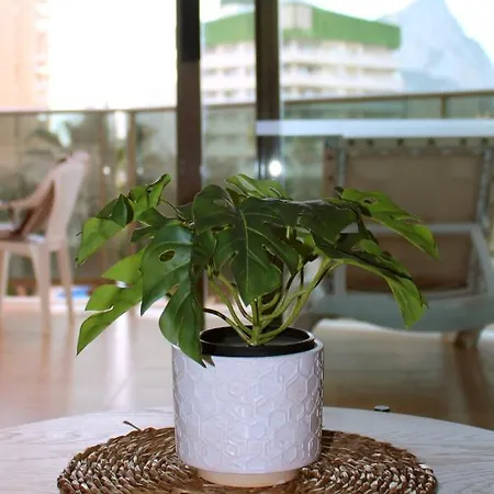 2b - Esmeralda - Pool & Lejlighed *