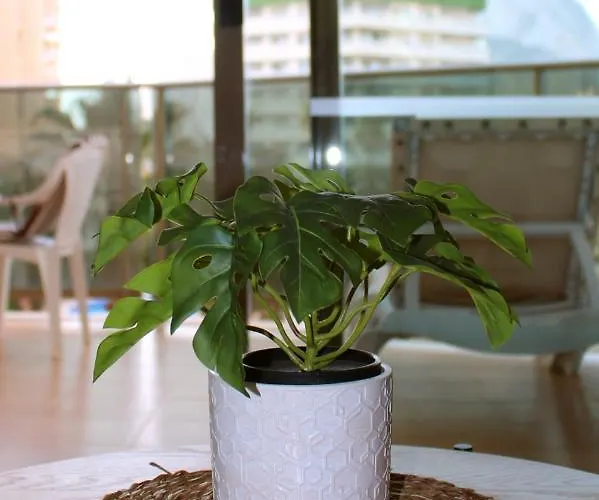 2b - Esmeralda - Pool & Appartement *